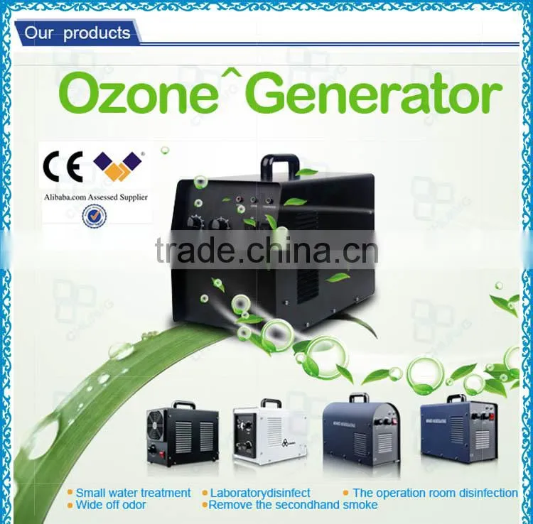 CE 3g 5g 6g 7g 220V CH-BP portable ozon generator / ozon luftreiniger