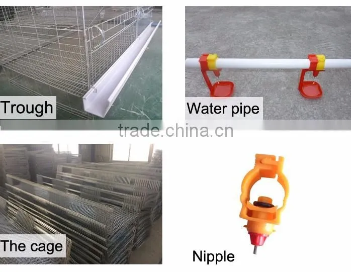 2016 hot sale quail layer cages for sale with low price