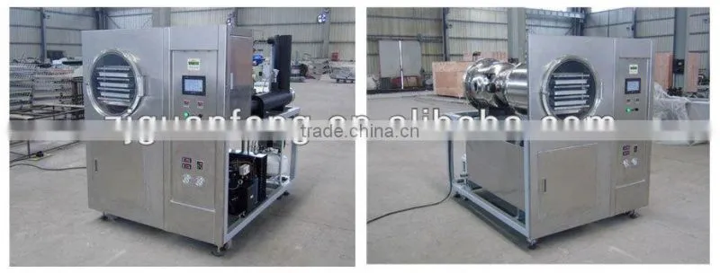 Quality Warranted Food Processing Machinery Fruit Lab Vacuum Freeze Dryer