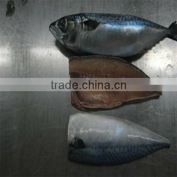 best fresh frozen mackerel fish