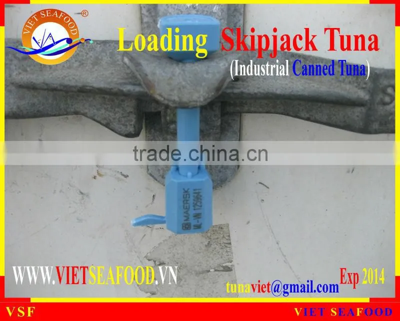 LOADING FROZEN SKIPJACK TUNA W/R