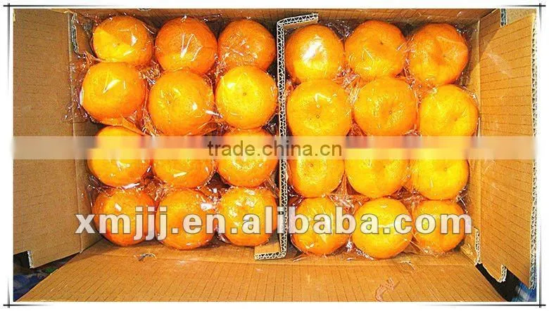 citrus fruits Orange Export Company