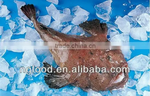 Freezing Anglerfish