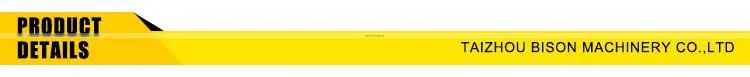 BISON China Electric Pressure Washer 200bar Electric Home High Pressure Cleaner