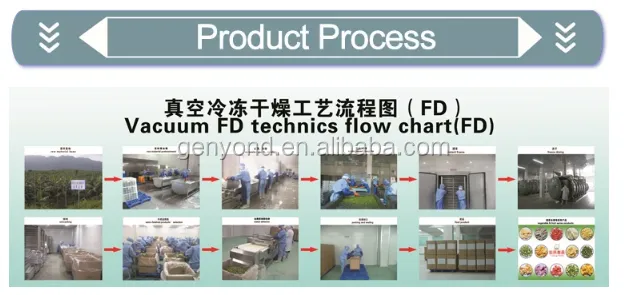 Large-scale Vacuum Freeze Dryer for Fruit Drying