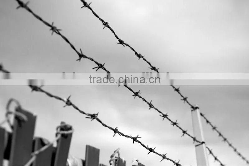 Stainless steel security electro galvanized barbed wire