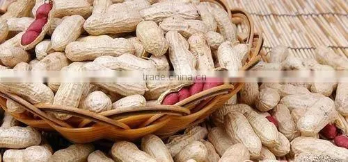 Chinese Raw Peanut inshell Washed