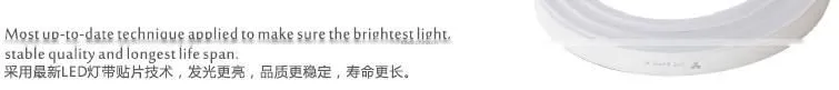 DIA 18mm 360 degree color changing led neon flexible tube