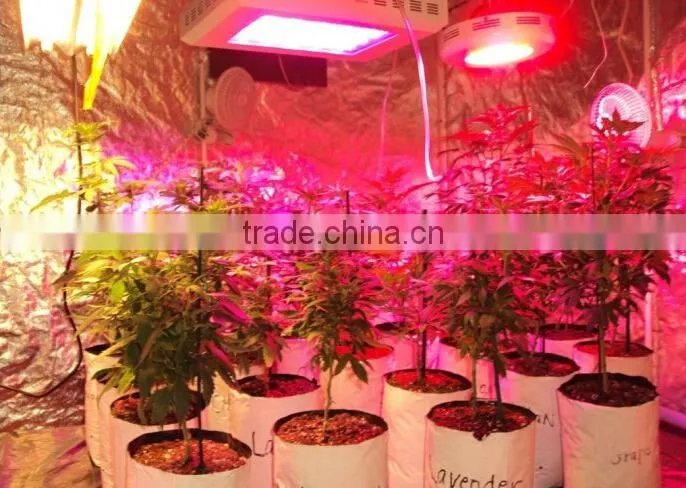 White house round shape 90W chip plants led Grow lighting