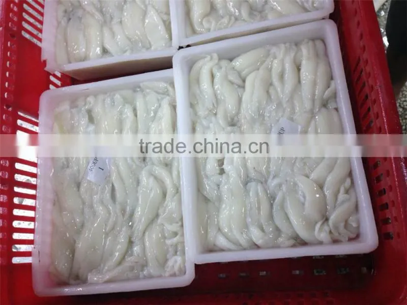 frozen squid fish eggs Illex squid Argentinus eggs