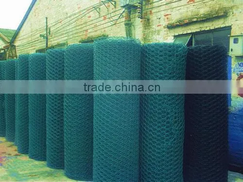 PVC coated Green Chicken Wire(factory)
