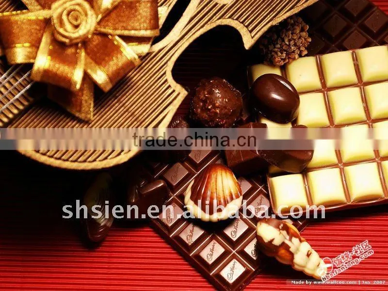 chocolate making machine