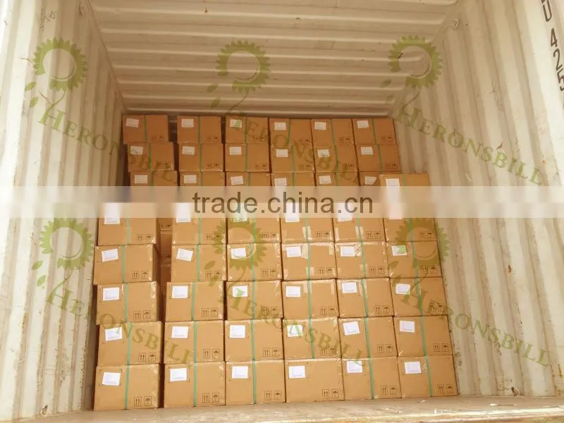 Instant jasmine tea powder for Beverage and Drinking