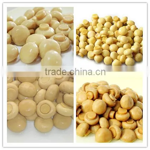 Canned Food Canned Champignon canned mushroom/champignon