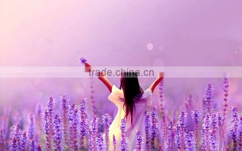 500 ml Liquid hand soap msds