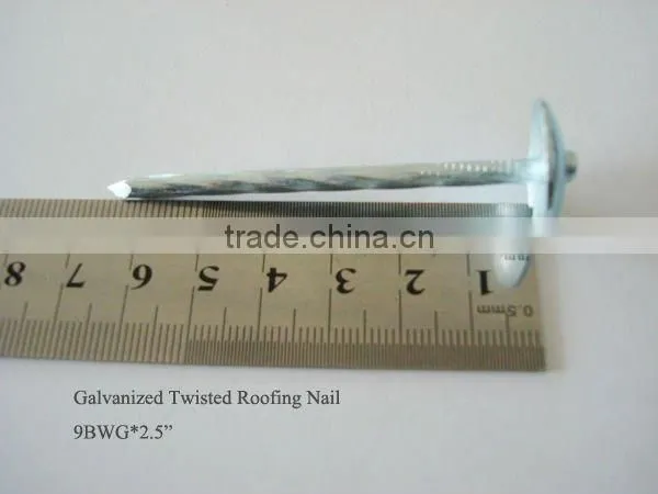 2.5inch twistgalvanized twist shank roofing nail with umbrella head