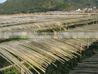 Ningbo Yusheng Bamboo And Wooden I/E Co., Ltd. company overview - view 1