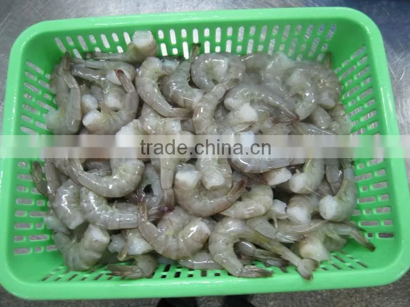Shrimp vannamei price