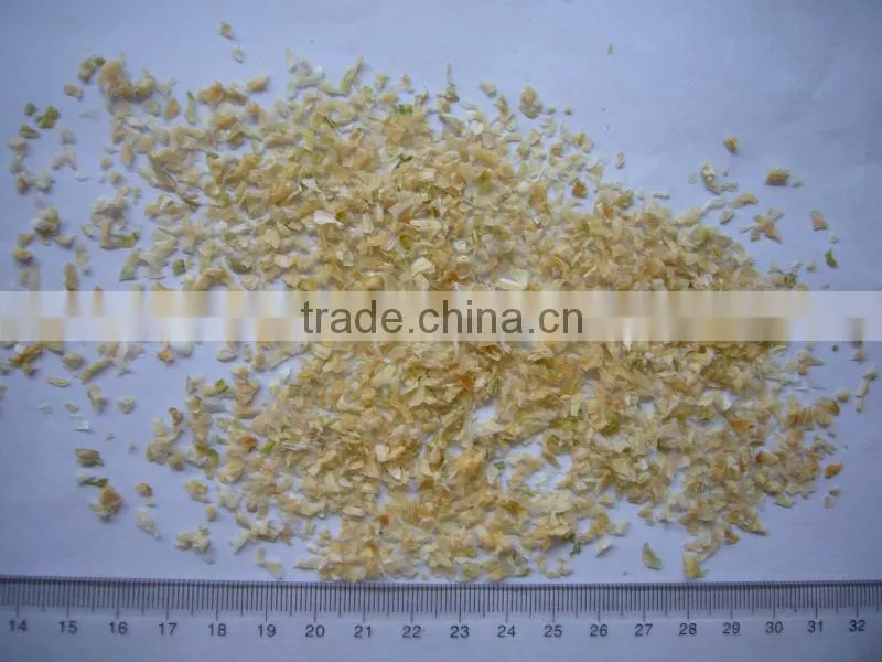dehydrated white onion