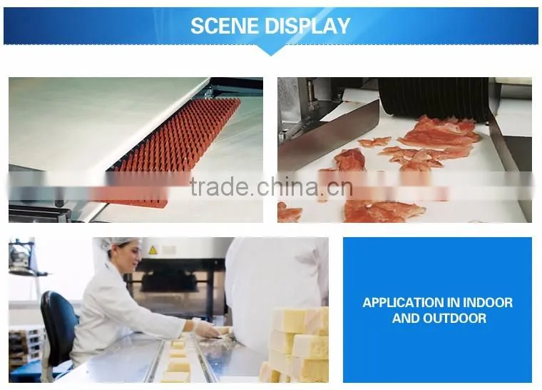 Used Nylon Sushi Conveyor Belt For Sale