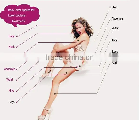 2015 Hot! 2 Freeze Cryotherapy Handles Machine/ Cryo Fat Freezing Machine