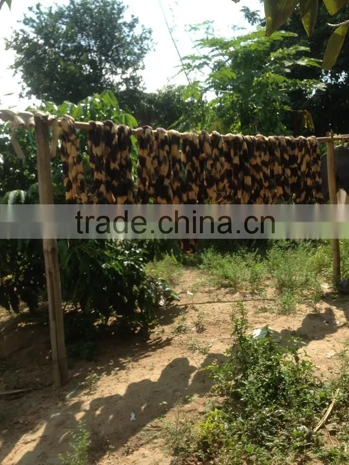 Beige Scarf and Shawl Genuine Naturally Dyed Colour Handmade Handcraft Weaving Scarfs & Shawls from Thailand