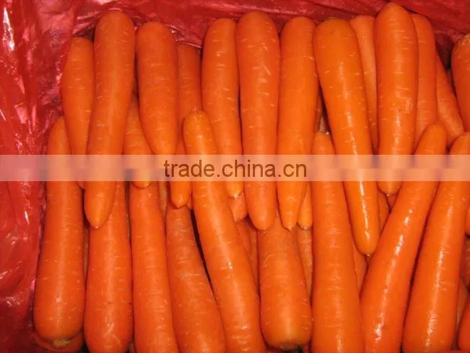 Sell Carrot