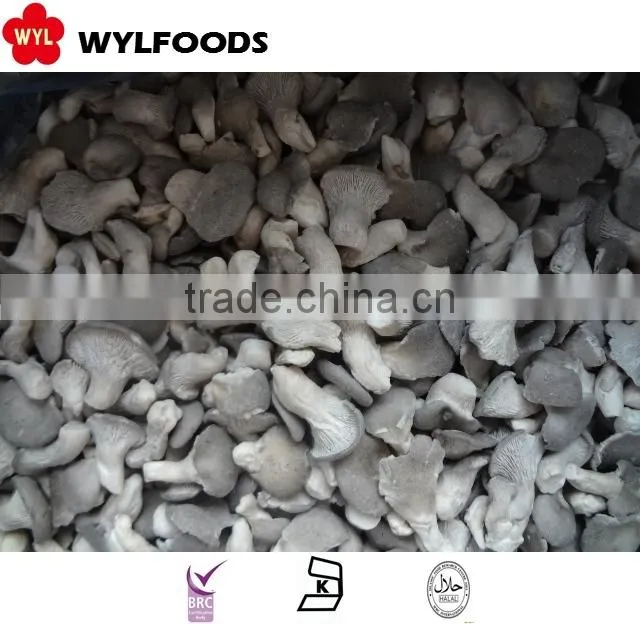 Grade A frozen summer truffle 2015