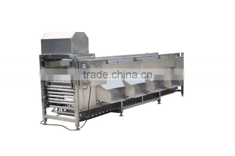 OG-606 CE Qualified Vegetable and Fruit Sorting Machine