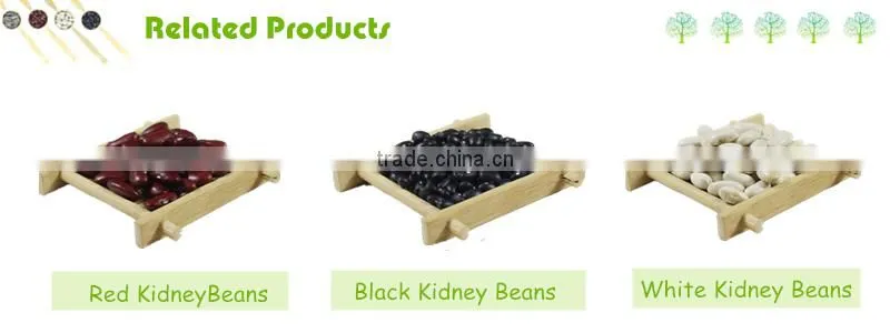 Marketing Of Agro Products Red Speckled Kidney Beans