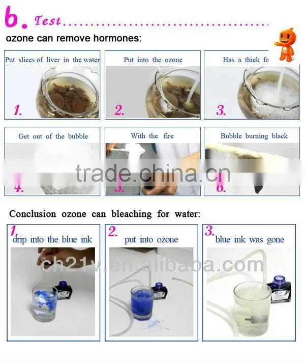 Hot! 2g ceramic ozone generator for drinking water