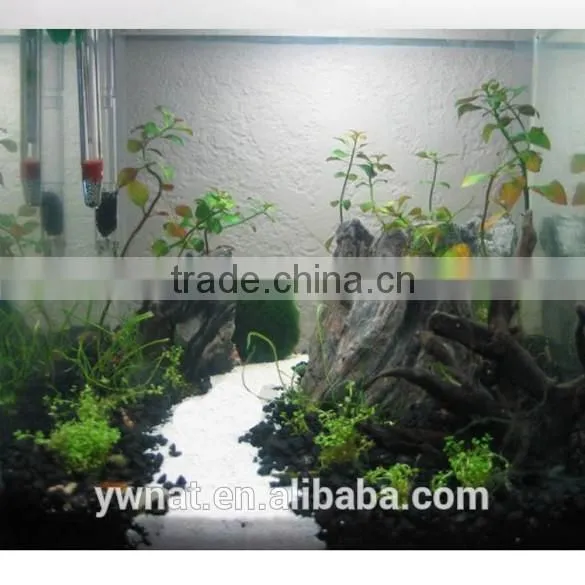 Explosion Proof Insulation Glass Aquarium Tank Water Thermostat Heater