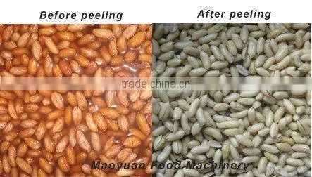 peanut kernel red skin removing plant with CE ISO 9001