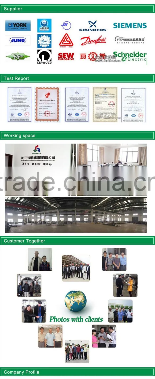 Advanced SBJ food belt dryer