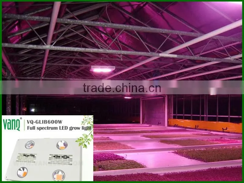 600 watt led grow light with aluminium reflector lamp shade