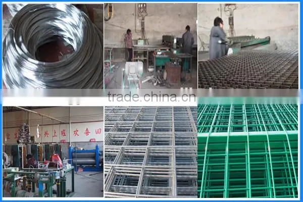 The Best Price With High Quality Of Galvanized Welded Rabbit Cage Wire Mesh