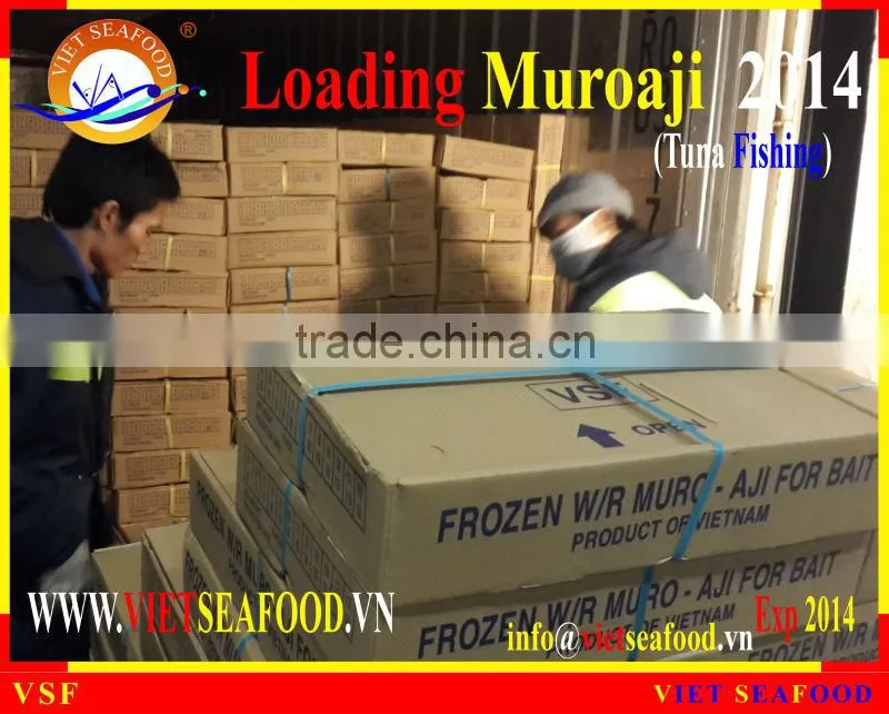 LOADING MUROAJI FOR TUNA BAIT