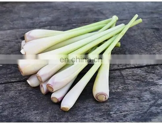 Frozen Vietnam Lemongrass With High Quality