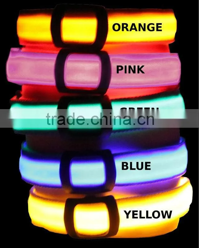 Bright 4-Way LED Dog Collar