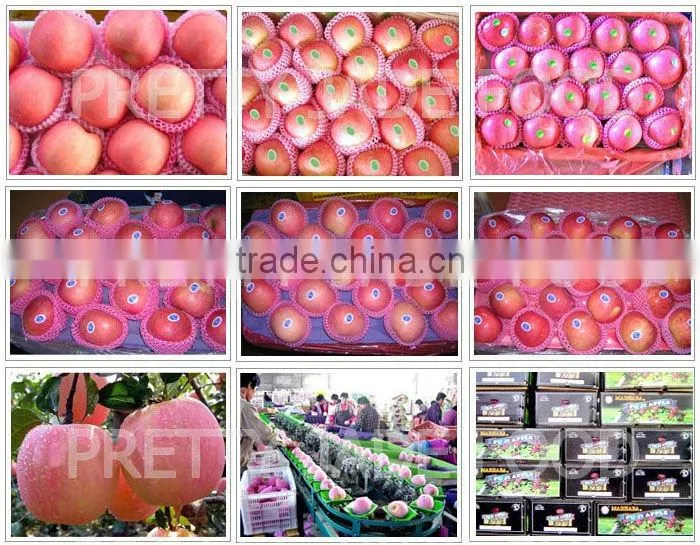 New season fresh qinguan apple