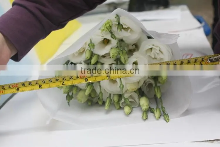 Good smell hotsell provide high quality fresh eustoma