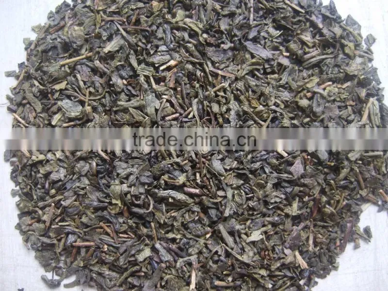 export tea from professional factory in China Gunpowder Green Tea 3505 C