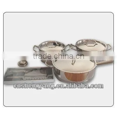 Stainless Steel Cookware/Pot Set