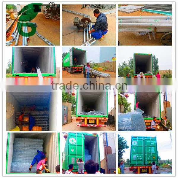 practical design layer chicken cage for pakistan chicken farm
