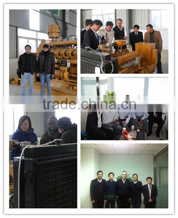 CE certified 10kw - 1mw methane coal gas generator /shale gas generator for sale