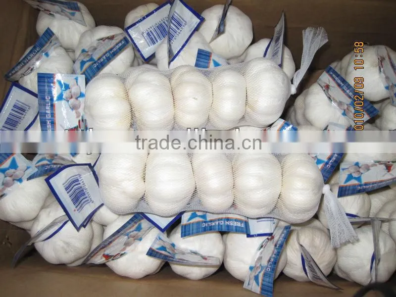 chinese new garlice price