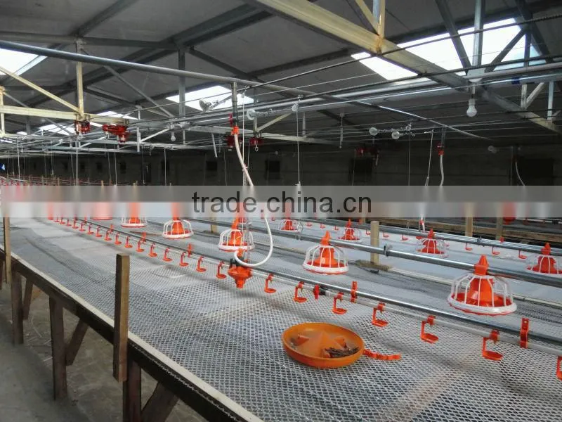 broiler chick shed equipment