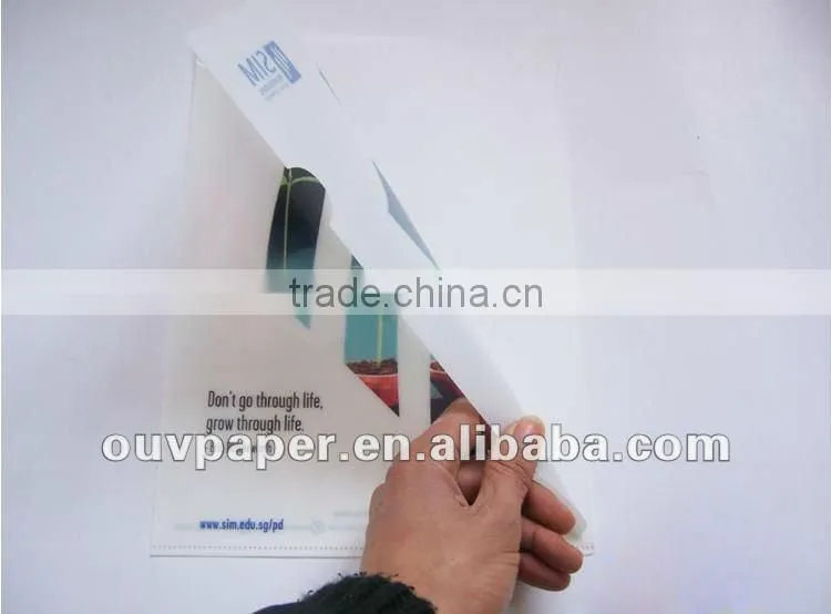 Clear L folder with PP