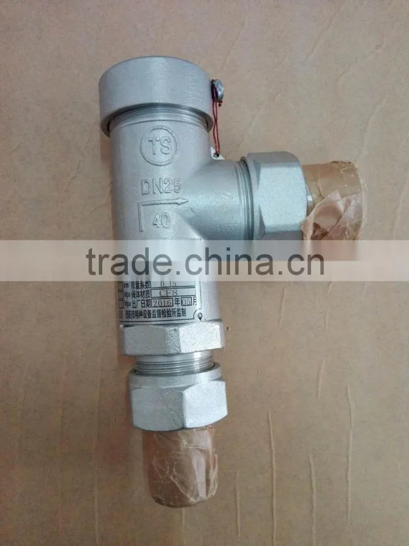 DN25 2.42MPa Safety Valve
