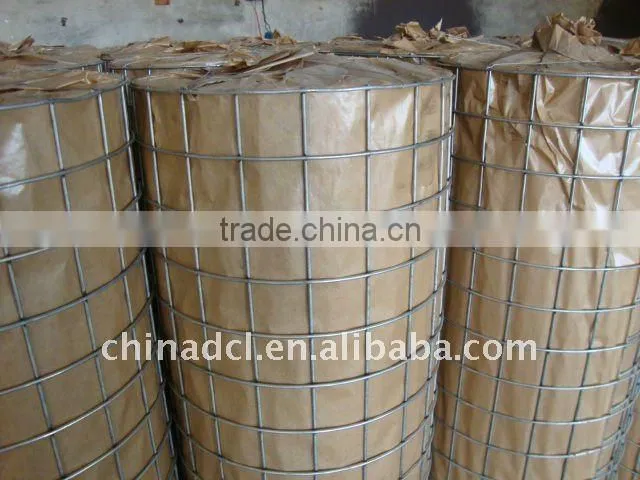 Galvanized Welded Wire Mesh